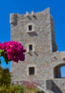 una flor rosa frente a un edificio de piedra en Focalion Castle Luxury Suites en Pirgos Dhirou