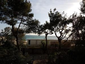 ガリポリにあるapartment lungomare Jonioの木々の後ろから海を望む