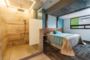 Afbeelding uit fotogalerij van Kaia Suites in Ciudad López Mateos +52 foto's