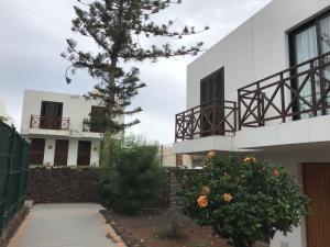 a house with a tree in front of a building at Holiday Home Bungamar in Playa de las Americas