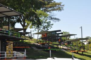 a playground in a park with a tree at Glamping - Calochorno in Alcalá