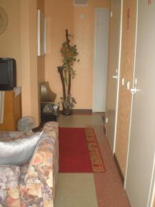 sala de estar con sofá y TV en una habitación en Jannseni Accommodation, en Pärnu
