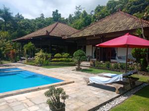 a house with a swimming pool and a red umbrella at Villa Elina in Lovina