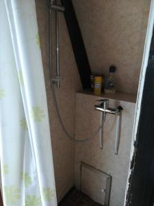 y baño con ducha y cortina de ducha. en Casone Maranghetto, en Marango di Caorle – Casa Pace