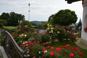 Ogród w obiekcie Pension Restaurant Rosenberg