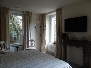 Schlafzimmer mit einem Bett, einem Kamin und einem TV in der Unterkunft B&B Les Tilleuls in Vielsalm