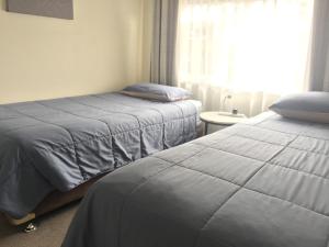 Легло или легла в стая в Cronulla Beach Break