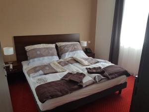 Voodi või voodid majutusasutuse Wellness hotel Harmonie Třeboň toas
