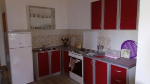 Kuchyň nebo kuchyňský kout v ubytování Apartments ZP44
