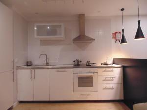 Kuchyň nebo kuchyňský kout v ubytování Dream Modern House + 26 fotografií