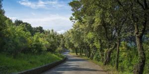 Fotografie z fotogalerie ubytování Relais I Piastroni v destinaci Monteverdi Marittimo