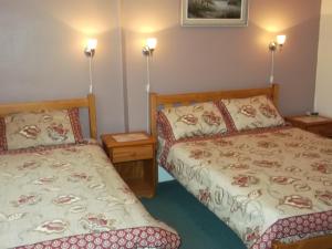 een slaapkamer met 2 bedden en 2 lampen bij Ashfield Guest House in Torquay