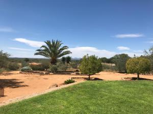 a garden with a palm tree and a grass field at The Farmhouse in Okahandja
