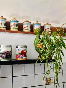 Fotografie z fotogalerie ubytování LaTanaSegreta v destinaci Monterotondo + 17 fotografií