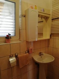 a small bathroom with a sink and a window at Apartmani Vesna in Buje