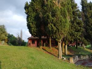 uma casa numa colina com árvores em primeiro plano em B&B Cà Giovanni Country Resort em Urbino