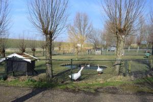 Billede fra billedgalleriet på Royale bovenwoning i Vlake