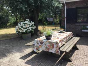 Billede fra billedgalleriet på Royale bovenwoning i Vlake