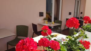 洛迦诺@ Home Hotel Locarno的相册照片