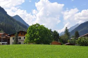 Paesaggio naturale nelle vicinanze dell'appartamento