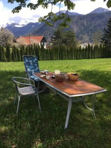 a picnic table and a chair in the grass at Villa Fortuna in Oberdrauburg