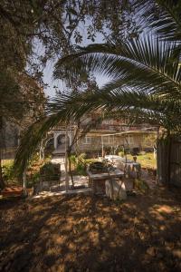 Zahrada ubytování ASTAKOS apartments Budva