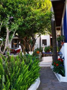 um jardim com plantas e uma estátua num edifício em Aquilone Residence em Stromboli