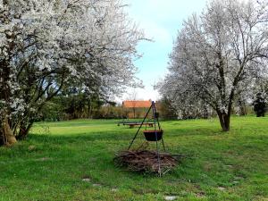 Fotografie z fotogalerie ubytování Axtburg Apartments v destinaci Bérbaltavár