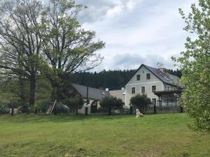 une maison blanche avec un chien assis dans un champ dans l'établissement Apartmán Malšín, à Malšín