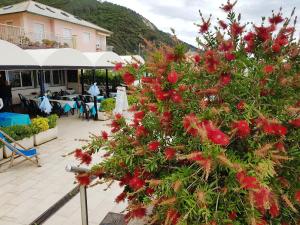 un árbol con flores rojas delante de un edificio en Albergo La Lampara en Deiva Marina