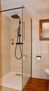W łazience znajduje się prysznic ze szklanymi drzwiami. w obiekcie Au Merlenchanteur w mieście Schiltigheim
