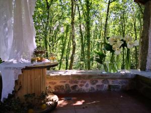 Vonkajšia záhrada v ubytovaní Casa Do Cribeiro