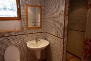 a bathroom with a sink and a toilet and a mirror at Chalet Gyronde in Vallouise +22 photos