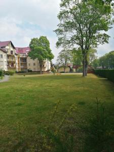 Ogród w obiekcie Apartament Dziwnów