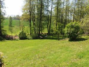 um campo de relva verde com árvores ao fundo em Ferienwohnung Wolf em Oberschöna