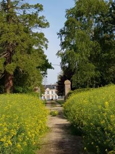 红房子旅馆外面的花园