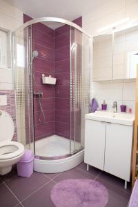 ein Badezimmer mit Dusche, Toilette und Waschbecken in der Unterkunft Apartman Matej with pool Povljana in Povljana