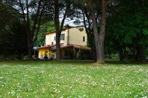 A garden outside Campo alle Monache