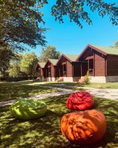 three pumpkins sitting in the grass in front of a house at Wooden Village Resort in Ponari