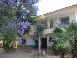 a white house with trees and purple flowers at Por la zona de Cabo de Gata in Antas
