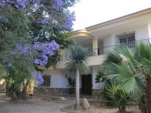 A garden outside Por la zona de Cabo de Gata