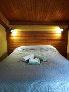 Un pat sau paturi într-o cameră la Potkrovlje