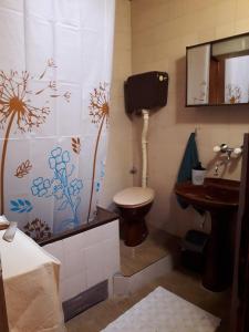 bagno con servizi igienici e lavandino di Potkrovlje a Vršac