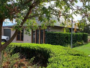 a house with a green hedge in front of it at Gunsynd Studio Apartment in Scone