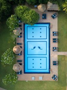 an overhead view of a swimming pool with two dolphins at Camellia Resort and Spa in Sigiriya
