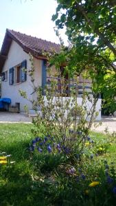 une maison avec un jardin en face dans l'établissement Grand Studio Entre Saône et Vignes, à Tréclun