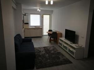 a living room with a couch and a flat screen tv at Apartament Karina complex Bacovia in Bacău
