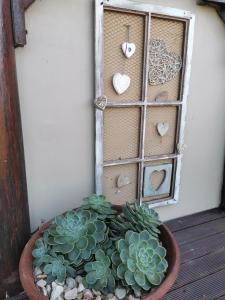 Fotografie z fotogalerie ubytování The Birdhouse Bed & Breakfast #NO Loadshedding #Solar Energy v destinaci Gonubie