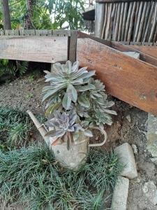 Zahrada ubytování The Birdhouse Bed & Breakfast #NO Loadshedding #Solar Energy