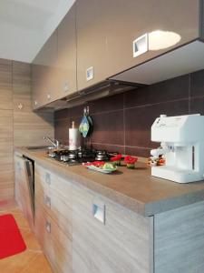 a kitchen with a counter with a stove top oven at Casa di Gabry in Torino di Sangro